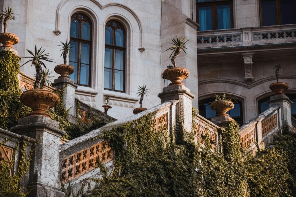 staircase with potted plants with elegant arches and windows